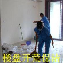 衡水楊大姐專(zhuān)業(yè)保潔美縫公司 品質(zhì)家政，守護(hù)家的潔凈與精致